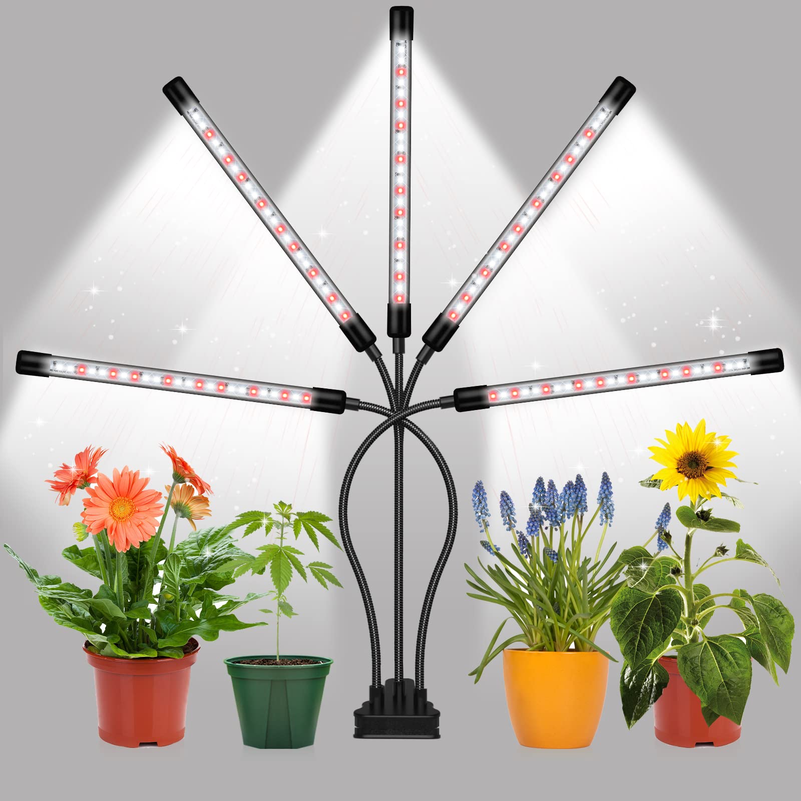 What kind of plants are plant lights mainly used for?