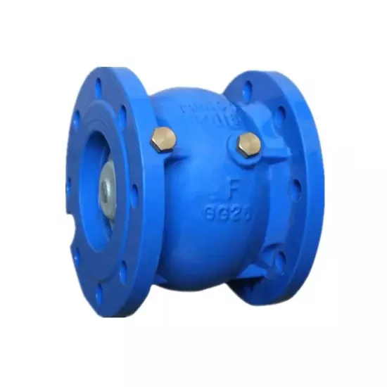 What is the function of check valve