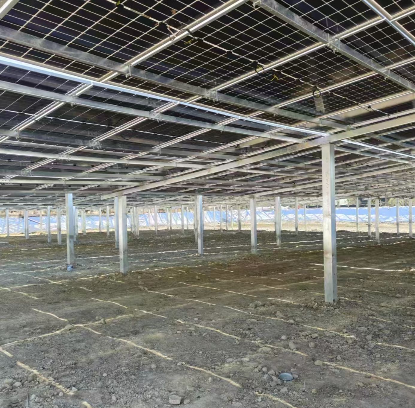 China Solar Steel Structures: The Ultimate Guide to Wholesale Solutions