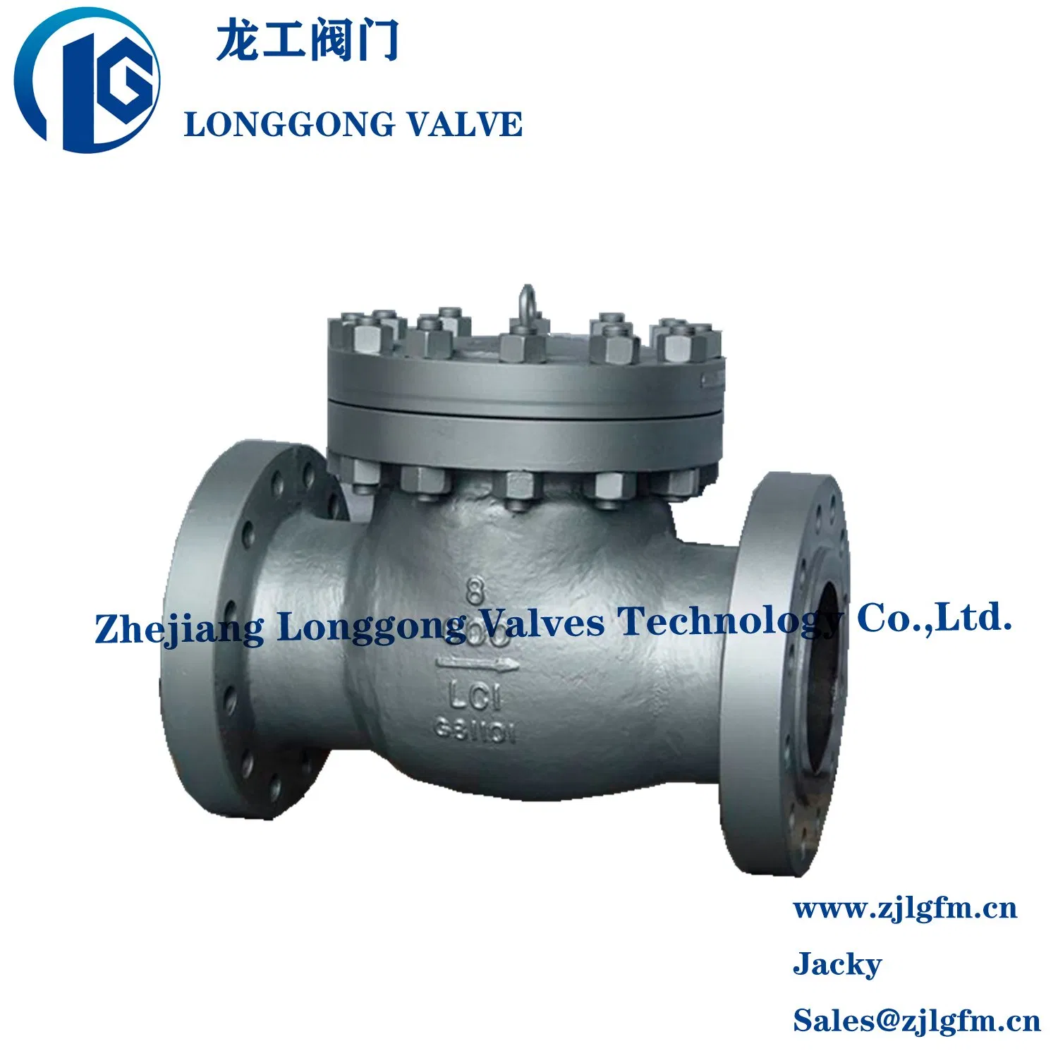API 6D/BS1868 Wcb/CF8/CF8m Cast Steel Class150 Flanged Swing Check Valve Nace Mr0175