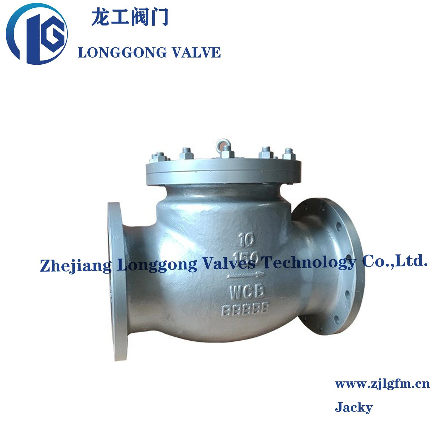 Class 150 Wcb/CF8/CF8m Flange Swing Check Valve