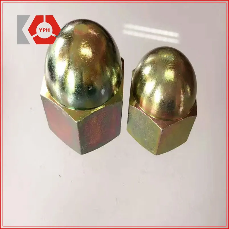 DIN 1587 Hex Nuts Round Head with Black