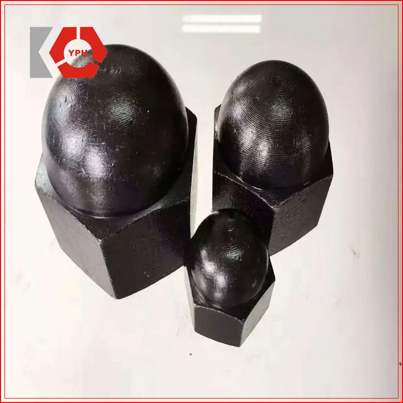 DIN 1587 Hex Nuts Round Head with Black
