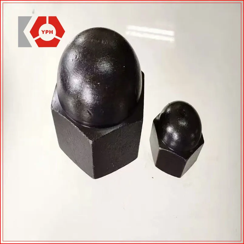 DIN 1587 Hex Nuts Round Head with Black