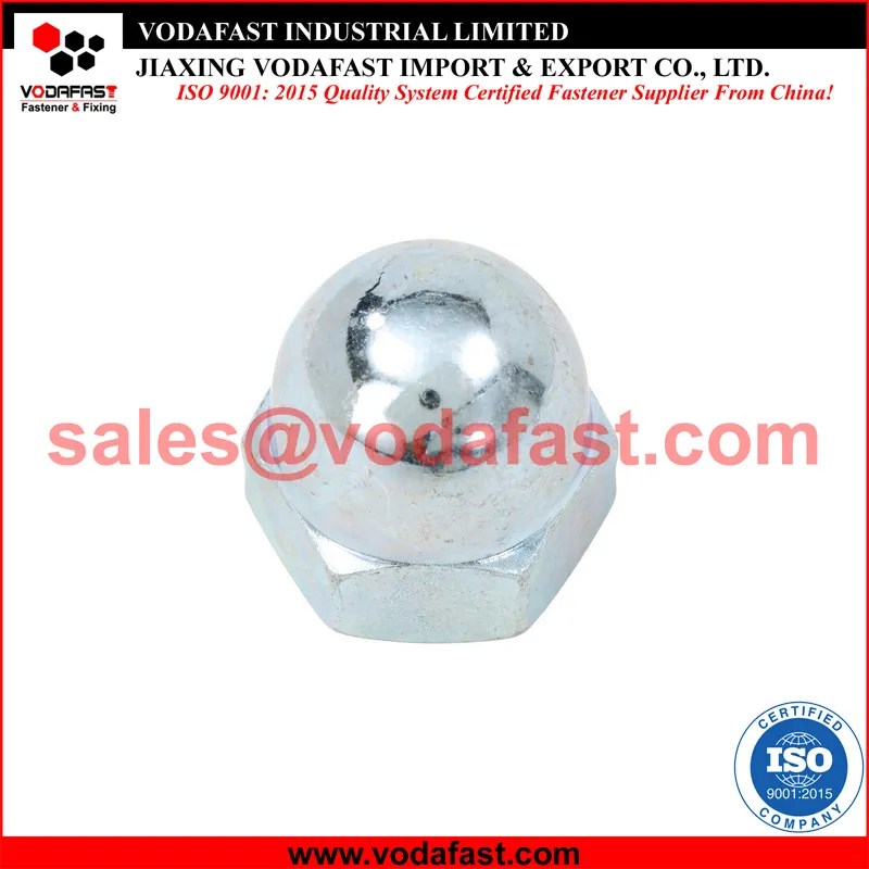 DIN 1587 Plain Steel Hex Cap Nut