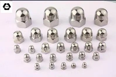 DIN 1587 Stainless Steel Hex Cap Nut