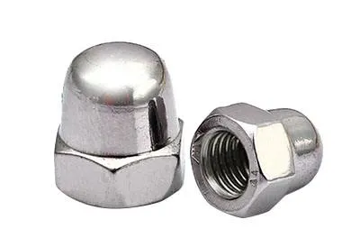DIN 1587 Stainless Steel Hex Cap Nut for Fasteners