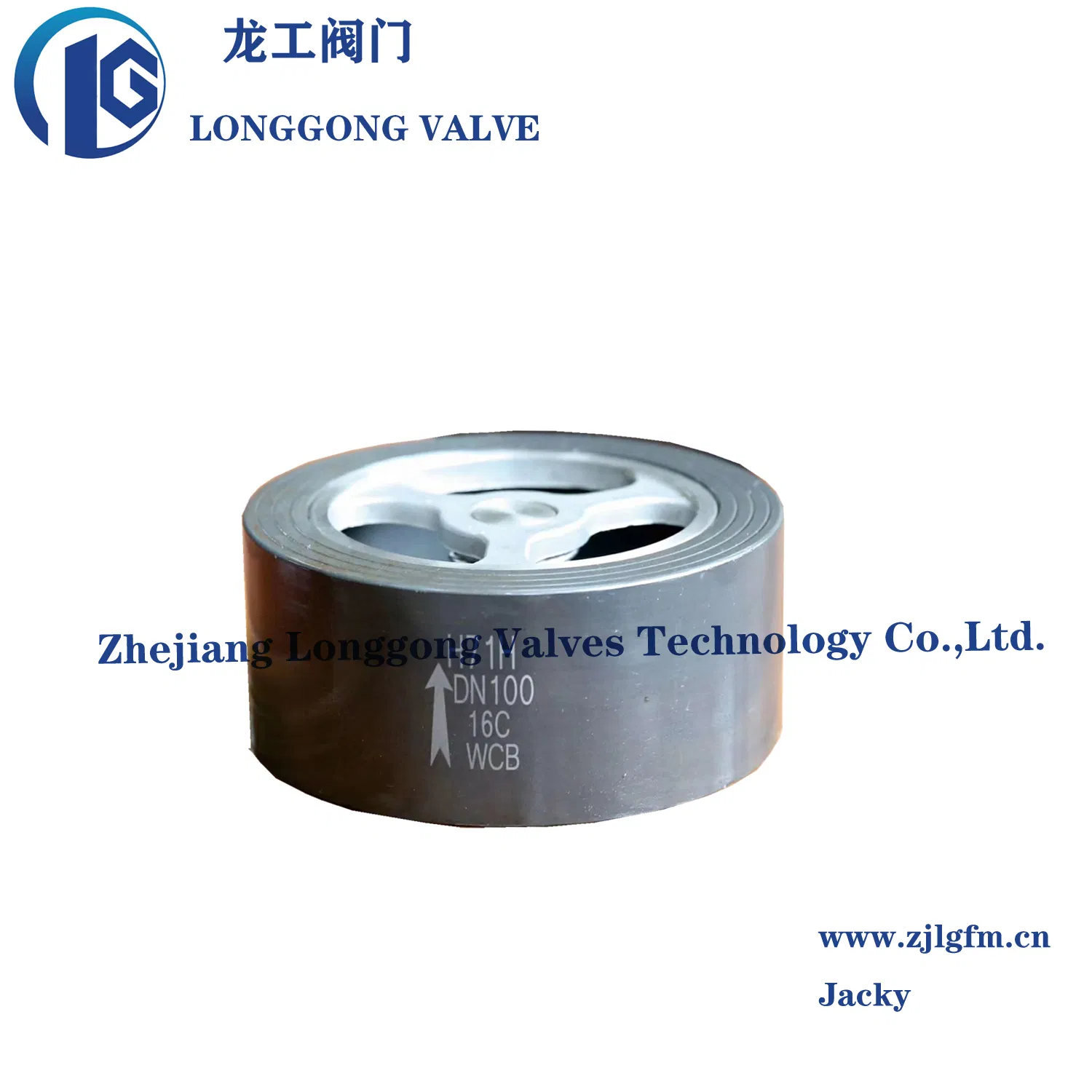 DIN/ANSI/API 6D Stainless Steel SS304 SS316 H71 Wafer Type Single Door Lift Check Valve Non Return Check Valve Class 150 RF